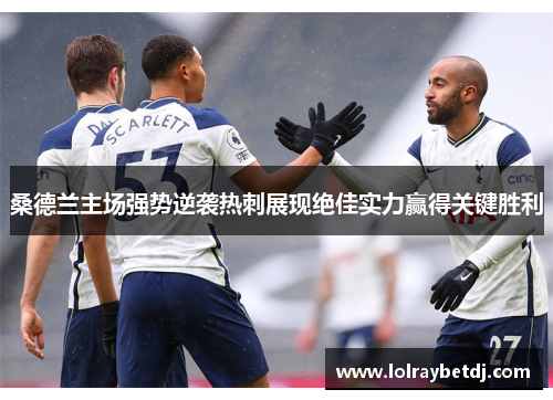 桑德兰主场强势逆袭热刺展现绝佳实力赢得关键胜利