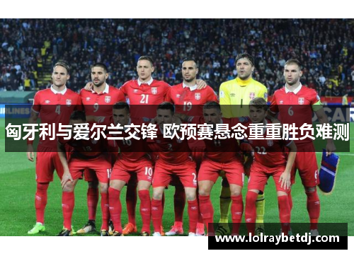 匈牙利与爱尔兰交锋 欧预赛悬念重重胜负难测