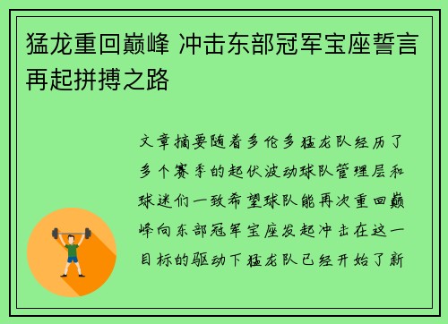 猛龙重回巅峰 冲击东部冠军宝座誓言再起拼搏之路
